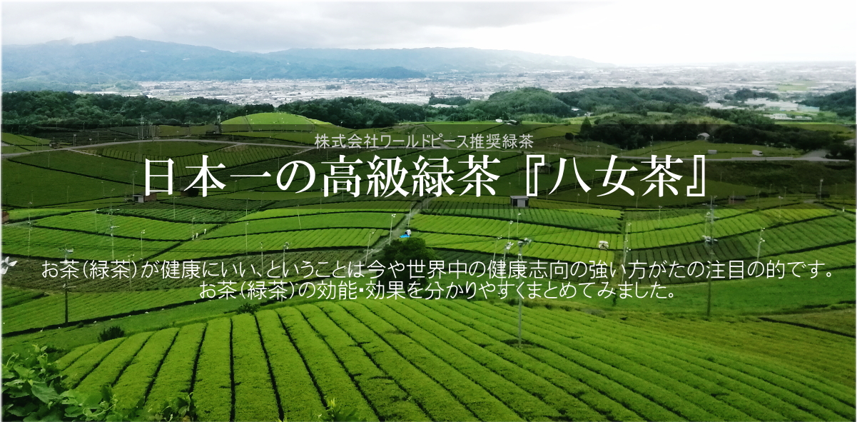 三八 さんぱち 緑茶 抹茶 健康 効能 効果 八女茶 八女産 九州産 福岡産 青汁 サプリメント