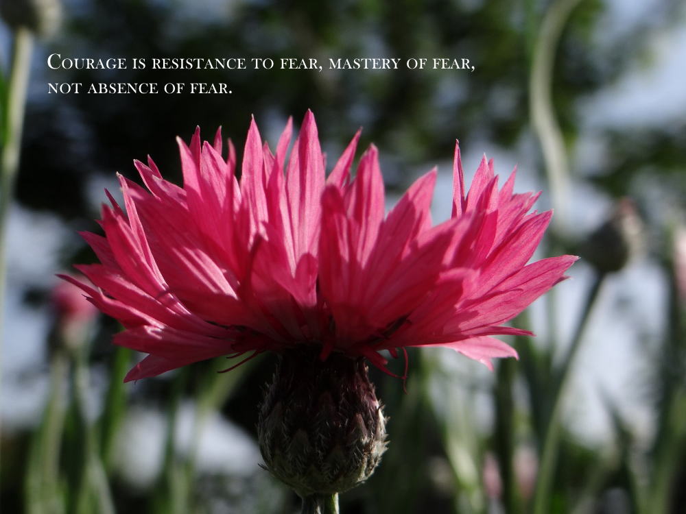 courage is resistance to fear, master of fear, not absence of fear.