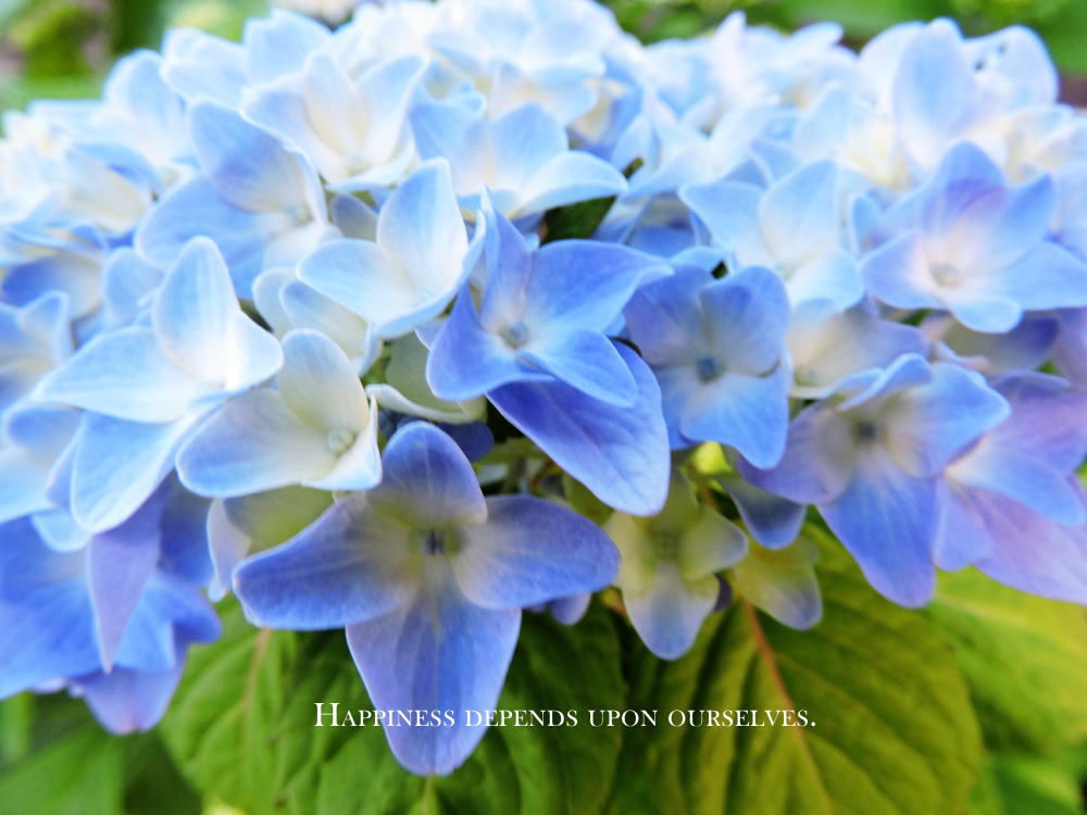 happiness depends upon ourselves.