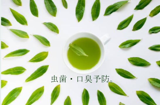 抹茶 青汁 緑茶 三八 さんぱち 九州産 八女産 サプリメント ダイエット